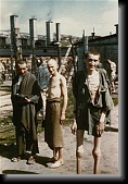 mauthausensurvivants * 193 x 283 * (49KB)
