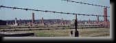 Auschwitzruins * 1035 x 354 * (86KB)